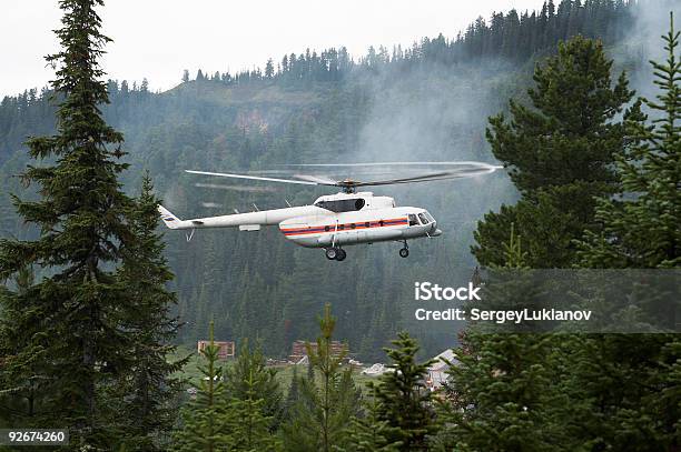 Elicottero Di Soccorso - Fotografie stock e altre immagini di Bosco - Bosco, Elicottero, Mezzo di trasporto