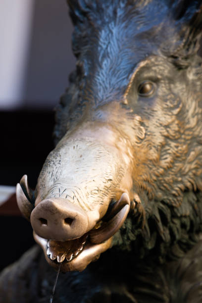 istock Source of the piglet, Florence 926743556