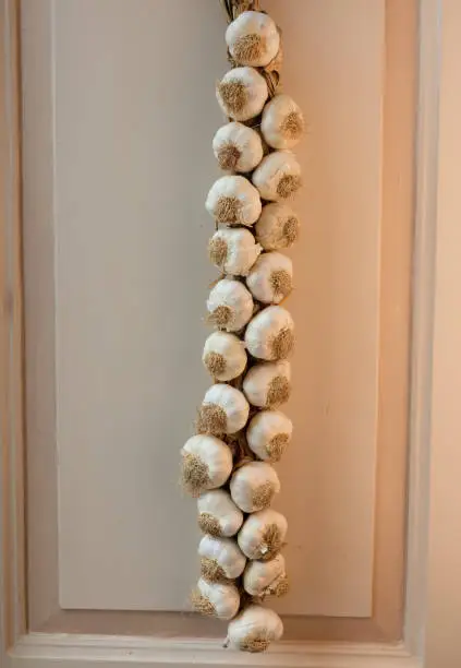 Photo of A garlic braid