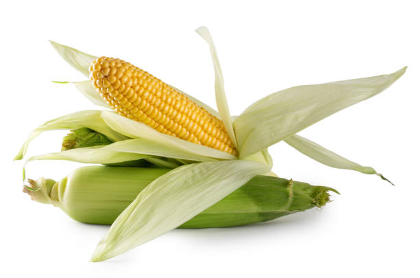 istock Fresh yellow corn with green leaves 926743736