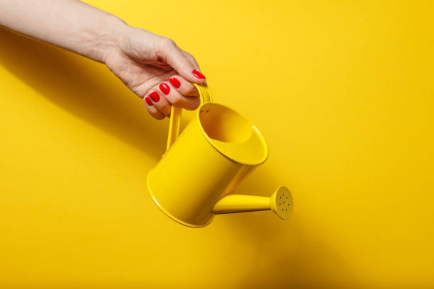 istock Hand holding the yellow watering can on a bright yellow background 926744082