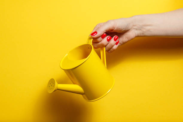 istock Hand holding the yellow watering can on a bright yellow background 926744084
