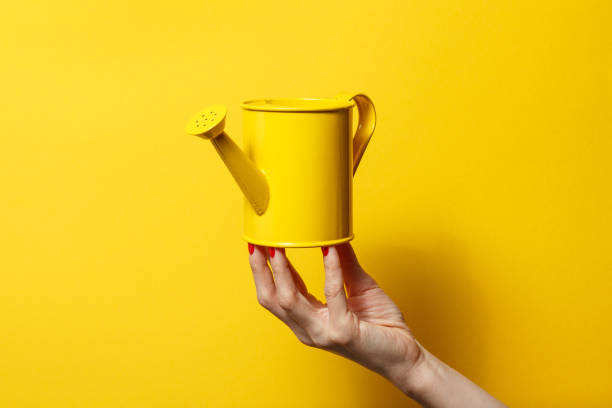 istock Hand holding the yellow watering can on a bright yellow background 926744580