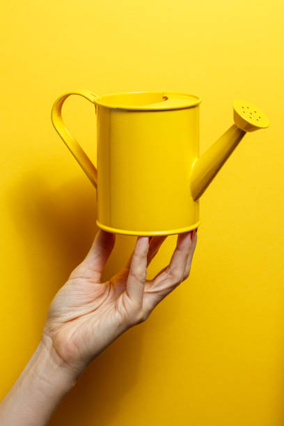 istock Hand holding the yellow watering can on a bright yellow background 926745128