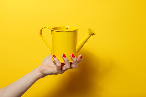 istock Hand holding the yellow watering can on a bright yellow background 926745918