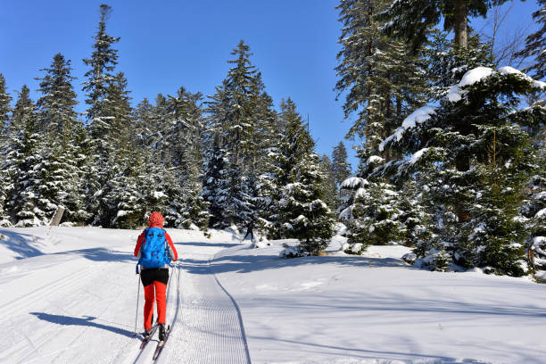 istock Poland mountains on the winter time 926748758