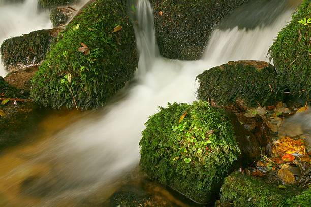 A água - foto de acervo