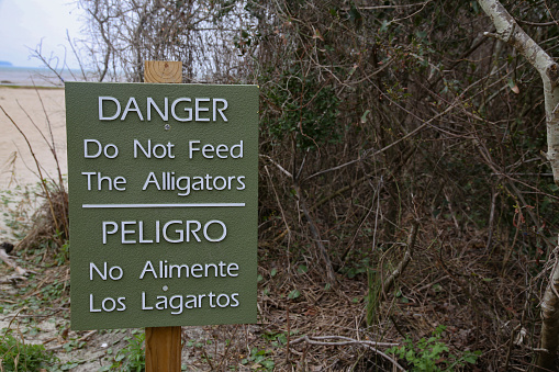 Danger Do Not Feed the Alligators Hilton Head, South Carolina Beach Sign