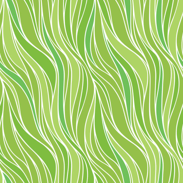 бесшовный весенний зеленый векторный узор с линиями. - wave pattern pattern green seaweed stock illustrations