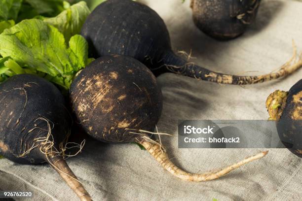 Organic Raw Black Radishes Stock Photo - Download Image Now - Agriculture, Backgrounds, Black Color