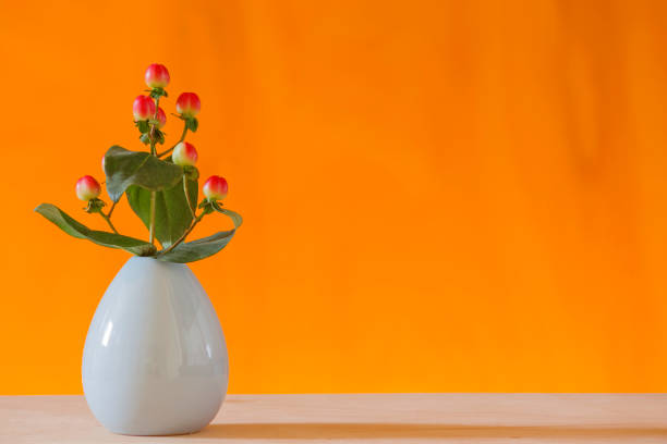 istock red hypericum berries flower in the vase with orange background 926762690