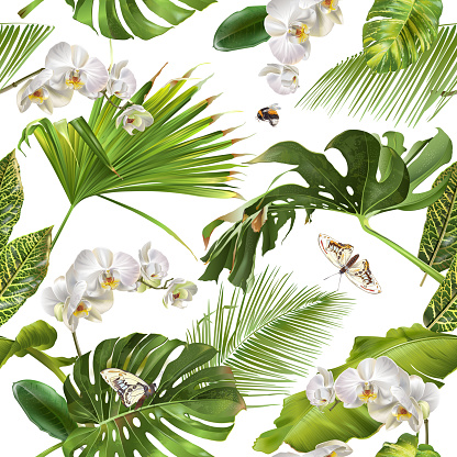 Vector botanical seamless pattern with tropical leaves, orchid flowers and butterflies on white. Background design for cosmetics, spa, wedding, web page. Best for hawaiian style print, wrapping paper