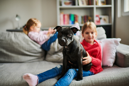 Two little girls at home with their black puppy dog.