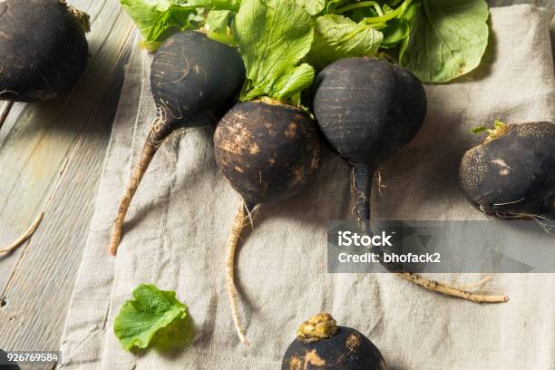 Organic Raw Black Radishes Stock Photo - Download Image Now - Agriculture, Backgrounds, Black Color