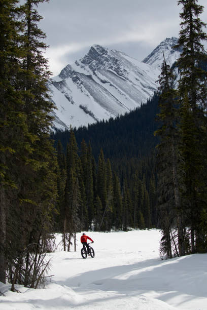 istock Winter Fat Bike Adventure 926770214