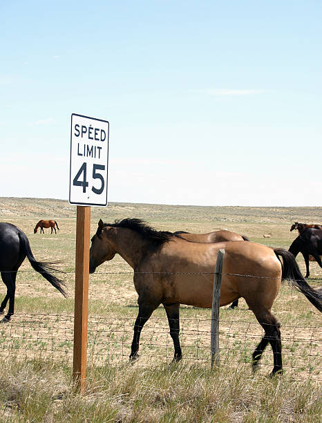 exceeding the speed limit stock photo