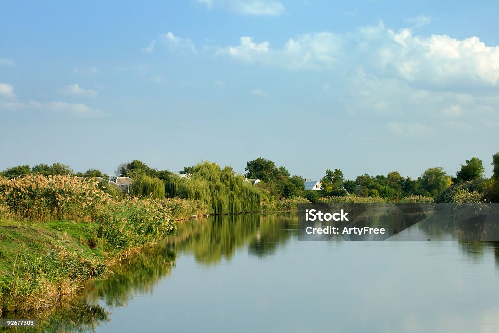 Paysage de pays - Photo de Arbre libre de droits