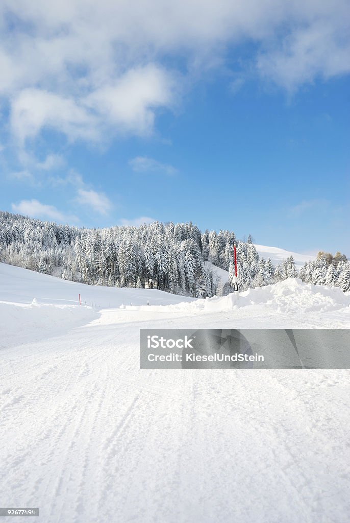 Strada di inverno - Foto stock royalty-free di Albero