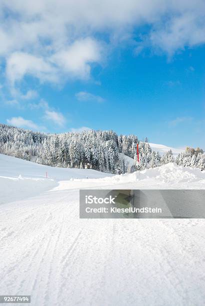 Strada Di Inverno - Fotografie stock e altre immagini di Albero - Albero, Alpi, Alpi svizzere