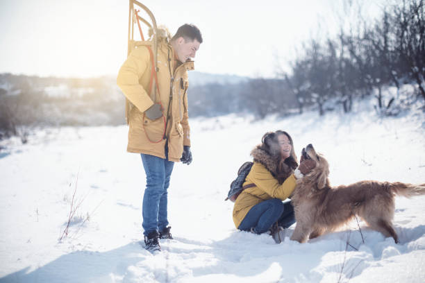 istock Love couple with dog having fun on snow 926778620
