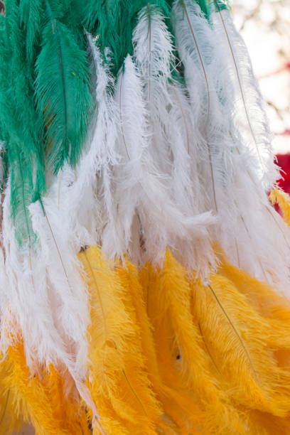 istock Colorful feathers of Carnival suit 926789094