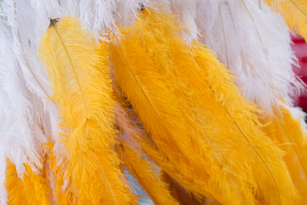 istock Colorful feathers of Carnival suit 926789100