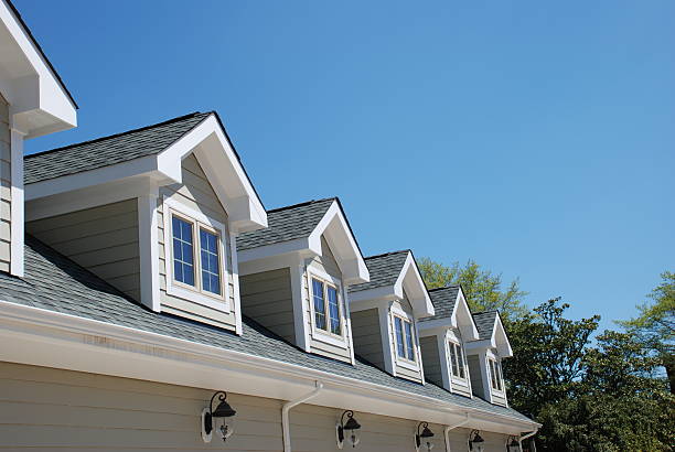 istock Row of Dormers 92678938