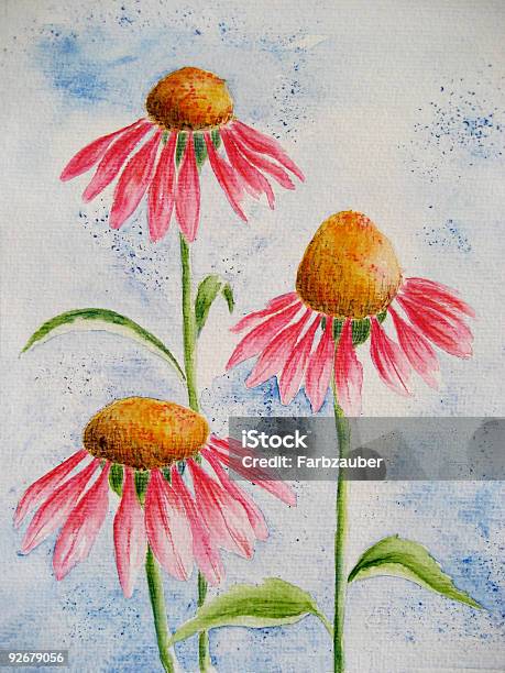 Cone Flower Echinacea Stock Illustration - Download Image Now - Art, Art Product, Backgrounds