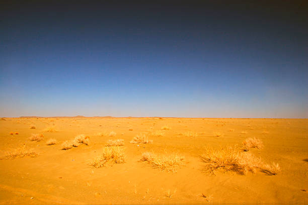 Desert stock photo