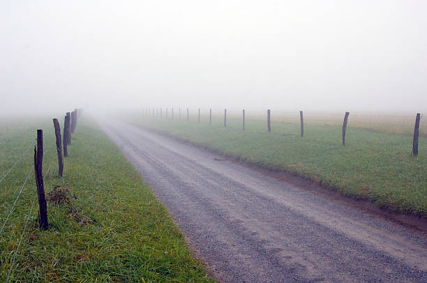 istock foggy country road 92679431