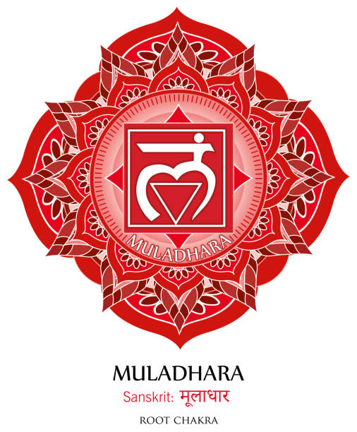 ilustraciones, imágenes clip art, dibujos animados e iconos de stock de muladhara chakra - chakra