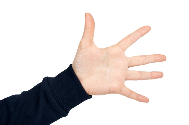 istock Female hand shows five gesture and sign. Isolated on white background. Dark blue pullover 926810704