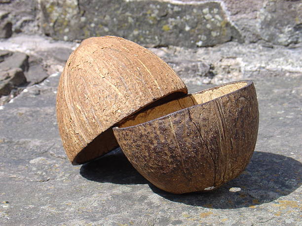 Coconuts stock photo