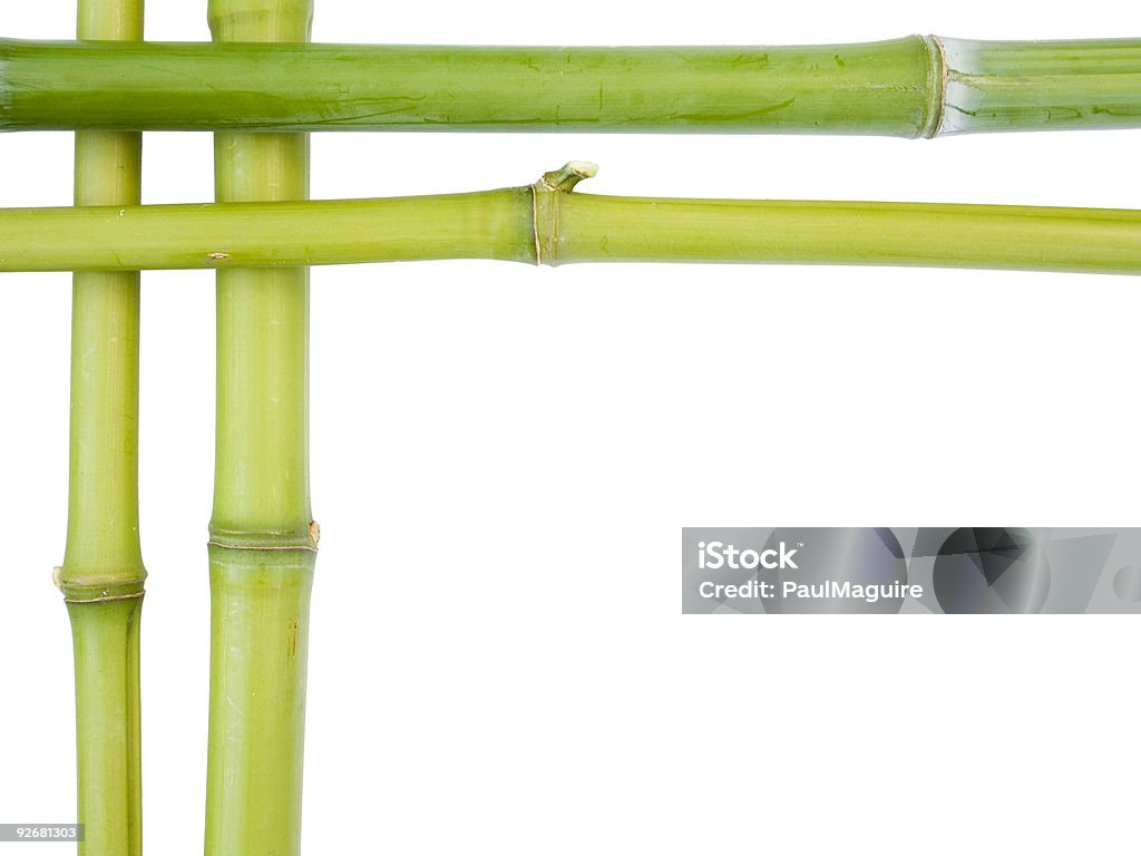 Bamboo borders  Abstract Stock Photo