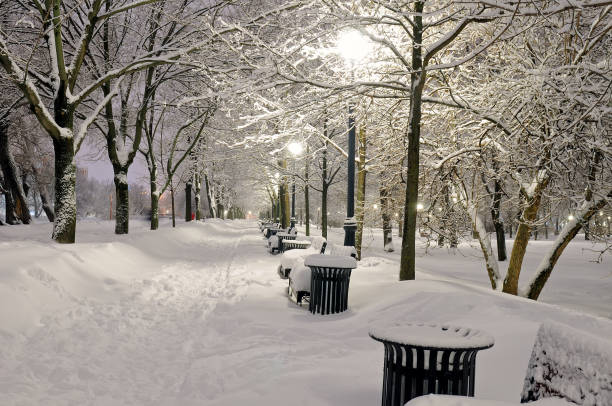 istock Winter path in the park brought by snow 926817524