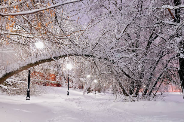 istock Path in the park in snow lit with streetlights 926817744