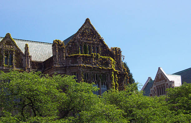 Ivy-Covered Building stock photo