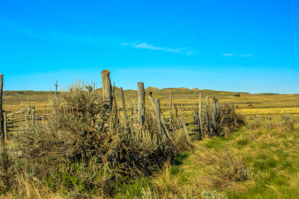 istock Dixon Ranch, Grasslands National Park, Saskatchewan, Canada 926822040
