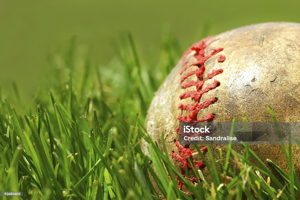 Old baseball on the grass  Baseball - Ball Stock Photo