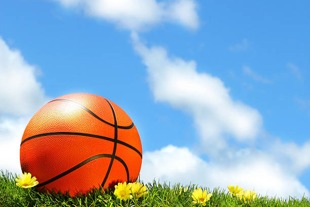 Basketball on the grass stock photo