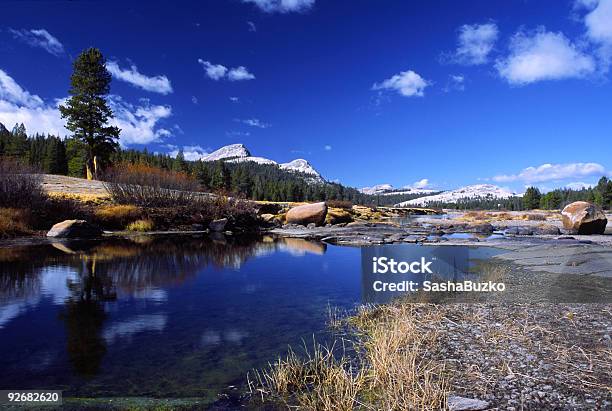 Tuolumne Outono No Rio Em Yosemite - Fotografias de stock e mais imagens de Tuolumne Meadows - Tuolumne Meadows, América do Norte, Ao Ar Livre