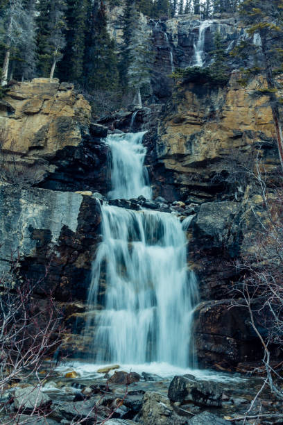 emaranhado creek falls, parque nacional de jasper, alberta, canadá - tangle falls - fotografias e filmes do acervo