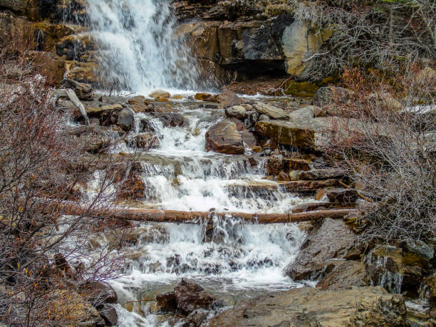 tangle creek falls, jasper national park, alberta, canada - tangle falls imagens e fotografias de stock