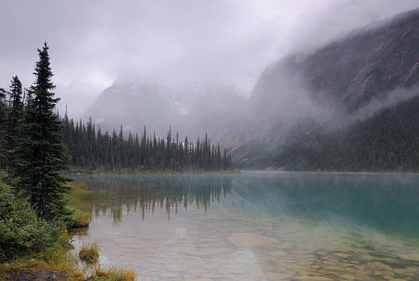 istock Forest lake in Canadian Rockies 92682958