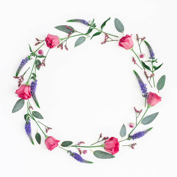 istock Colorful flowers wreath on white background. Flat lay, top view 926836390