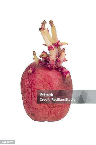 Patate Pelle Rossa - Fotografie stock e altre immagini di Patata cruda - Patata cruda, Piantina di semenzaio, Alimentazione non salutare