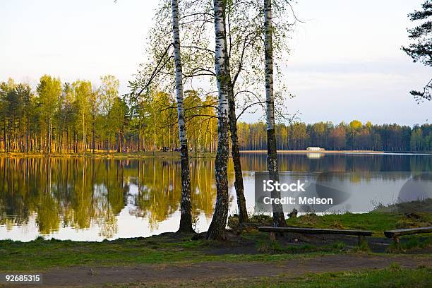 Lago - Fotografias de stock e mais imagens de Admirar a Vista - Admirar a Vista, Adulto, Ajardinado