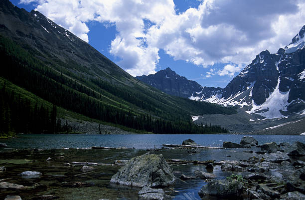 istock Consolation Lake, Canadian Rockies 92685491