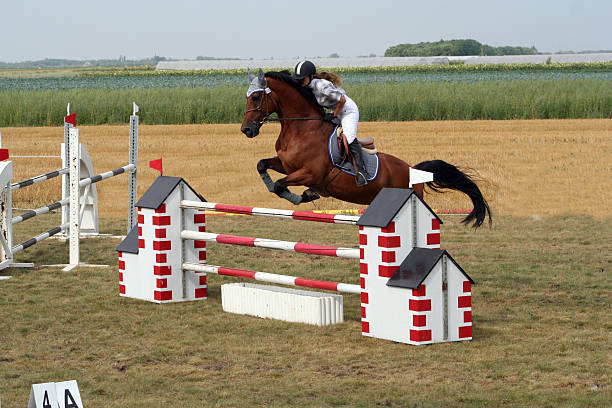 istock Jumping over the Obstacle with a Horse 92685819