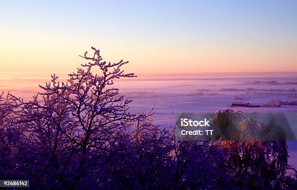 Foggy Landschaft Stockfoto und mehr Bilder von Abenddämmerung - Abenddämmerung, Agrarbetrieb, Agrarland